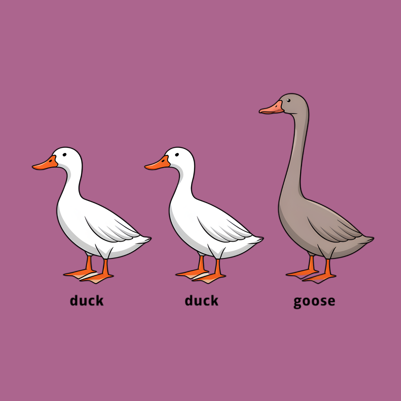 Novelty Fridge Magnet - Three cartoon ducks and a goose on a purple background with labels underneath.