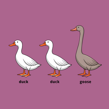 Novelty Fridge Magnet - Three cartoon ducks and a goose on a purple background with labels underneath.