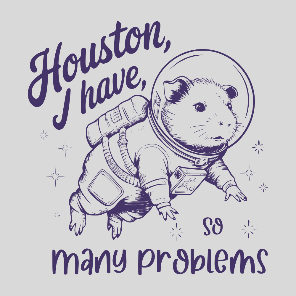 Novelty Fridge Magnet - Hamster in an astronaut suit with text 'Houston, I have, so many problems' on a light purple background