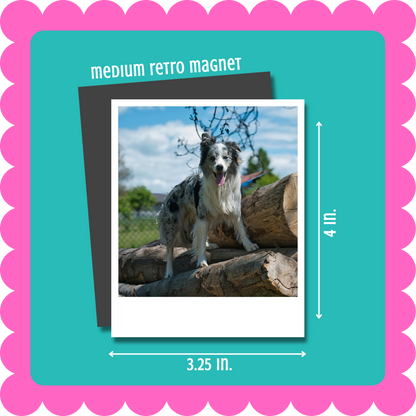 Vintage Retro Polaroid-style custom photo magnet, flexible 2mm thick personalized fridge magnet with uploaded photo. Medium retro magnet with a dog on a log, shown with dimensions and a pink border.