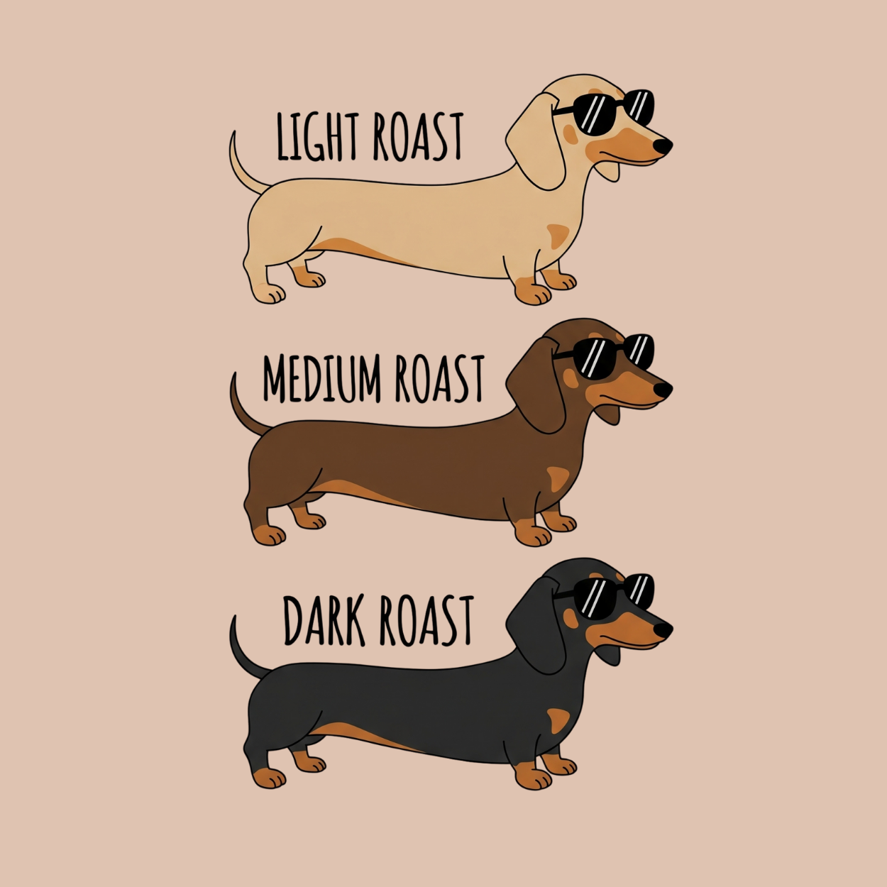 Dog or cat themed humorous novelty, funny fridge magnet. Three cartoon dachshunds labeled 'Light Roast', 'Medium Roast', and 'Dark Roast' on a beige background. Dog Magnet, wiener dog