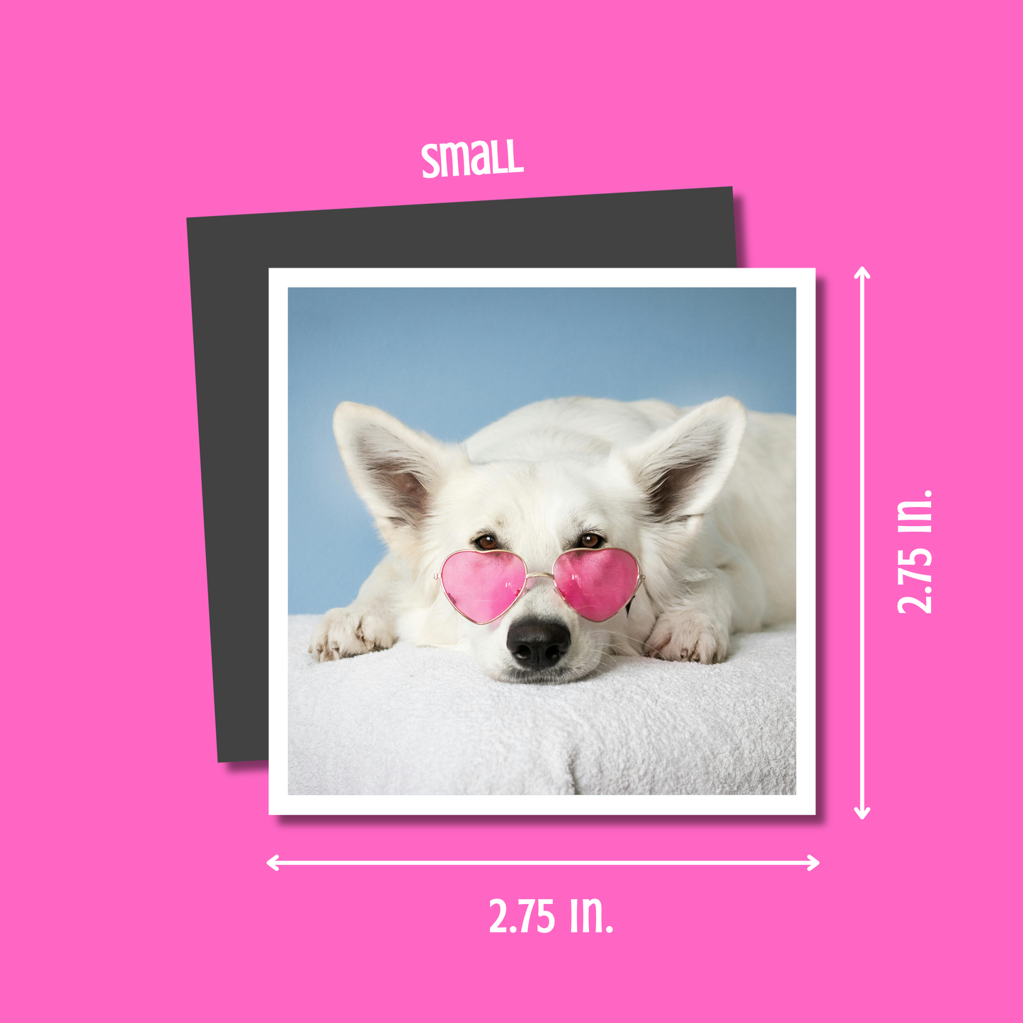 THIN Custom Flexible Photo Magnets
