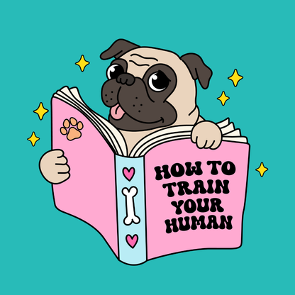 Dog or cat themed humorous novelty, funny fridge magnet. Cartoon pug holding a book titled 'How to Train Your Human' on a teal background. Dog Magnet